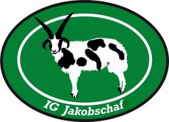 IG Jakobschaf